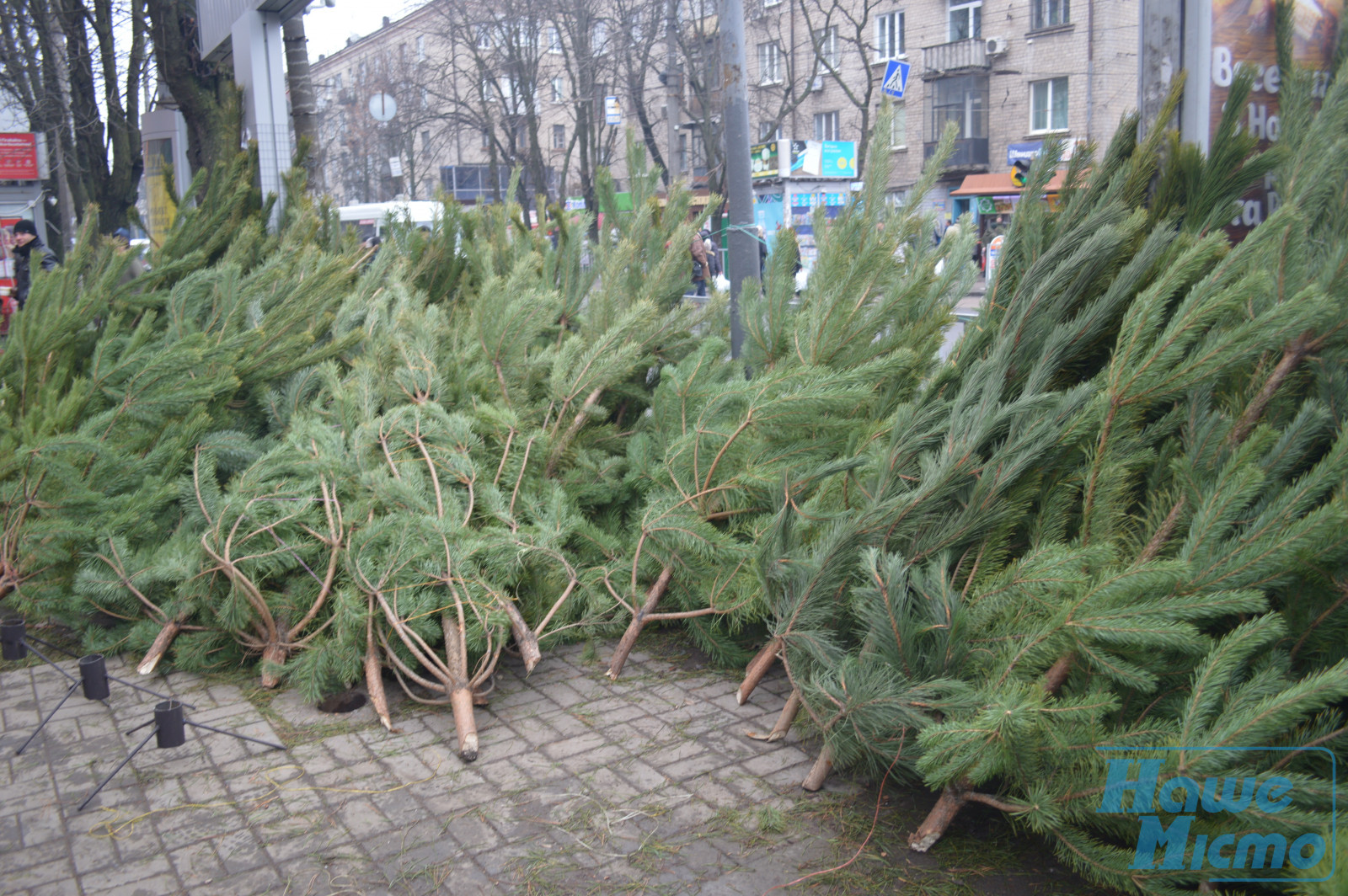 Ёлочные рейды в Днепре. Новости Днепра