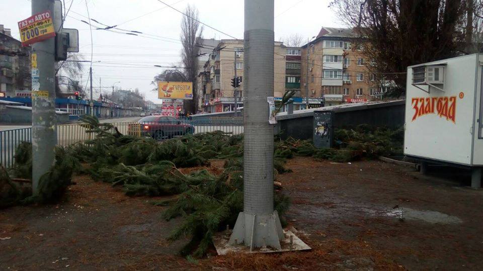 С улиц Днепра начали убирать брошенные елки. Новости Днепр