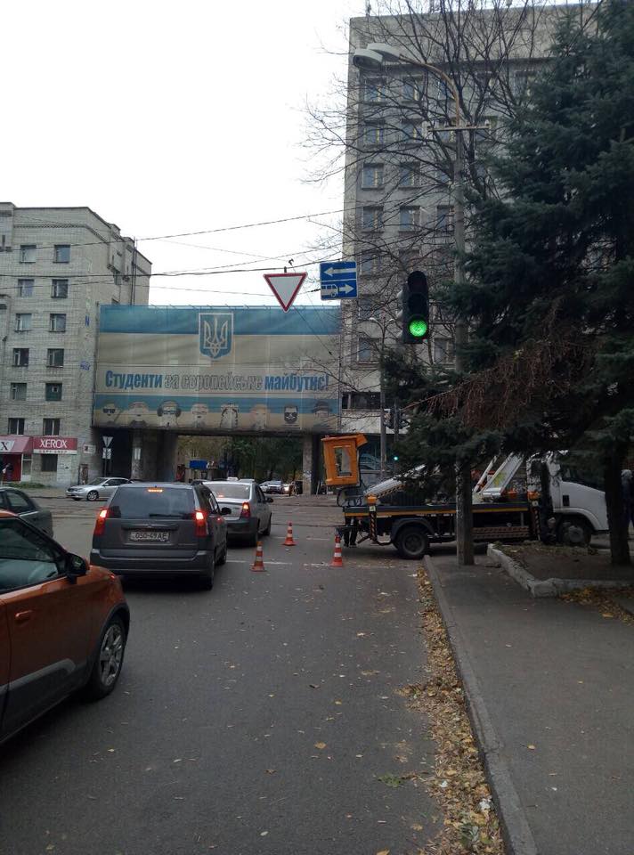 В Днепре чтобы не рубить дерево перенесли знак. Новости Днепра