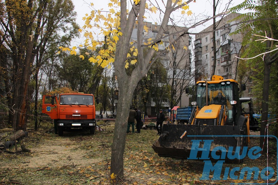 В Днепре продолжают спиливать аварийные деревья . Новости Днепр