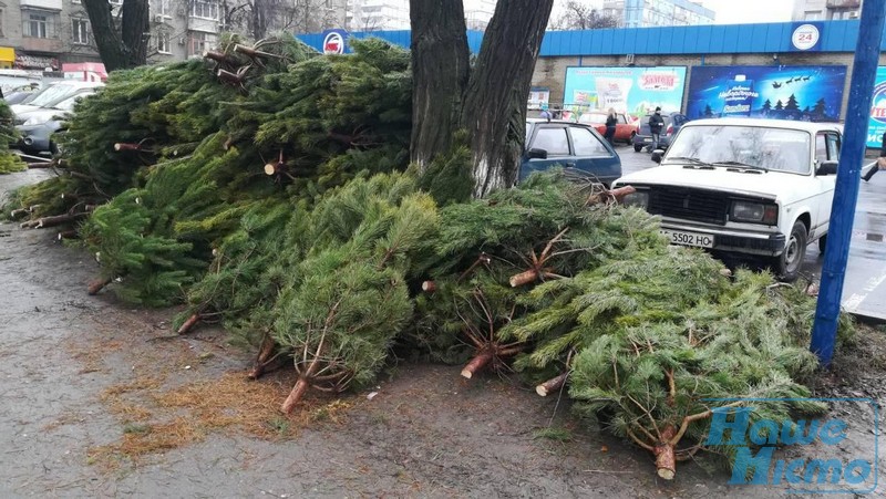 В Днепре открылись официальные елочные базары (ФОТО). новости Днепра