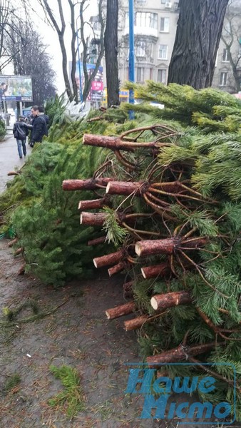 В Днепре открылись официальные елочные базары (ФОТО). новости Днепра