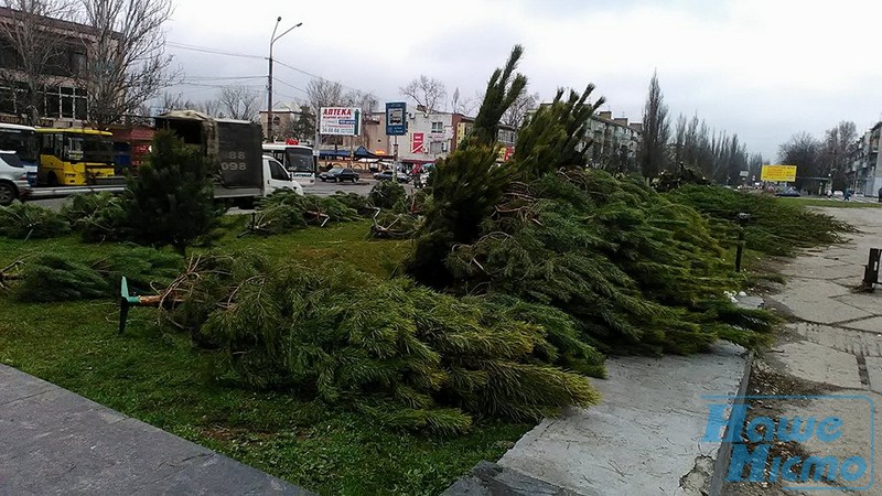 В Днепре открылись официальные елочные базары (ФОТО). новости Днепра