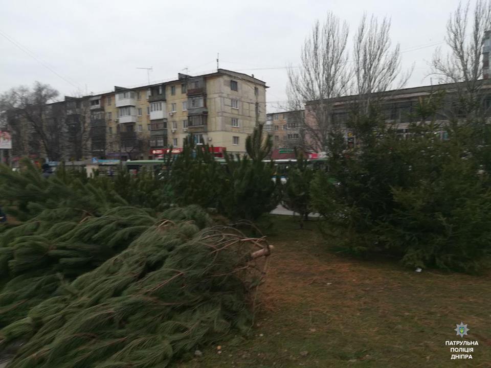 В Днепре прикрыли два незаконных елочных базара. Новости Днепра