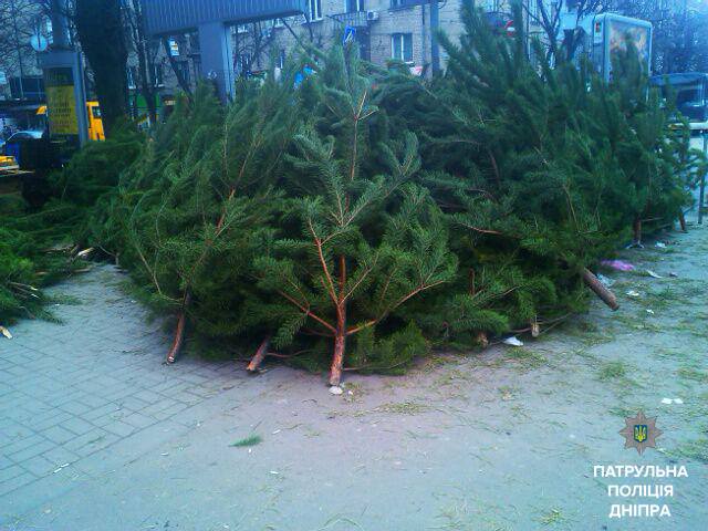 В Днепре прикрыли два незаконных елочных базара. Новости Днепра