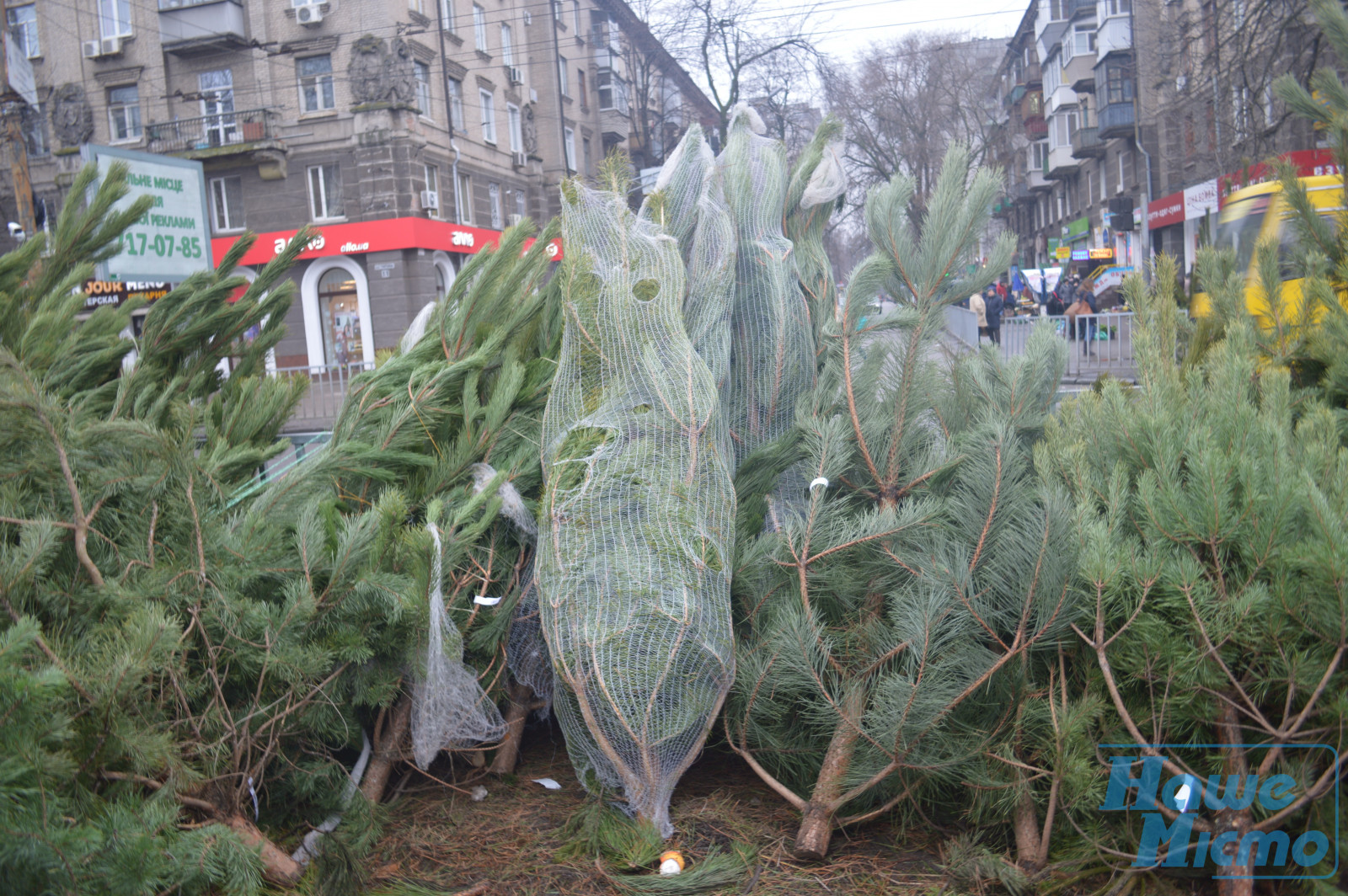 Ёлочные рейды в Днепре. Новости Днепра