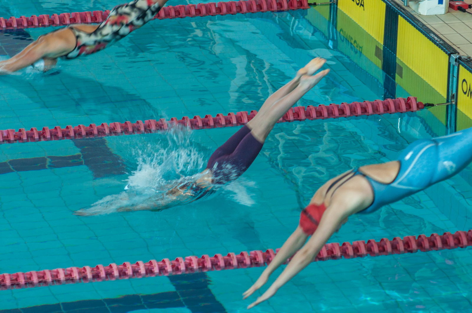 В Днепре стартовал чемпионат Украины по плаванию. Новость Днепр