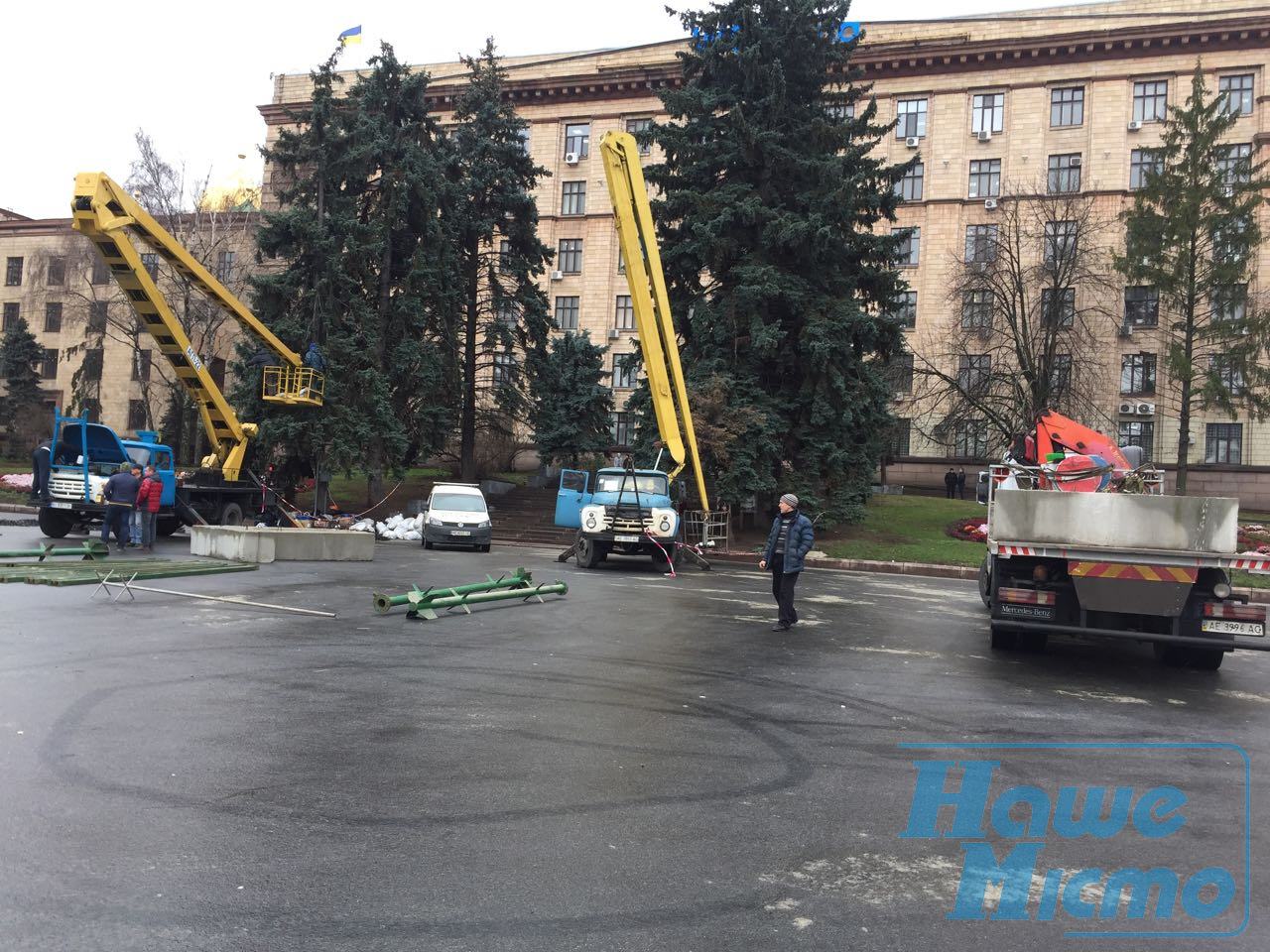 В Днепре устанавливают центральную елку. новости Днепр