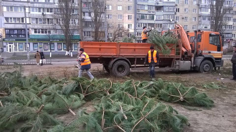 В Днепре ликвидируют ёлочные базары. новости Днепра