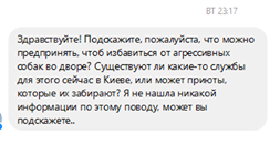 Бездомные собаки в Днепре — убить нельзя помиловать (ФОТО). Новости Днепра.