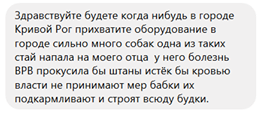 Бездомные собаки в Днепре — убить нельзя помиловать (ФОТО). Новости Днепра.