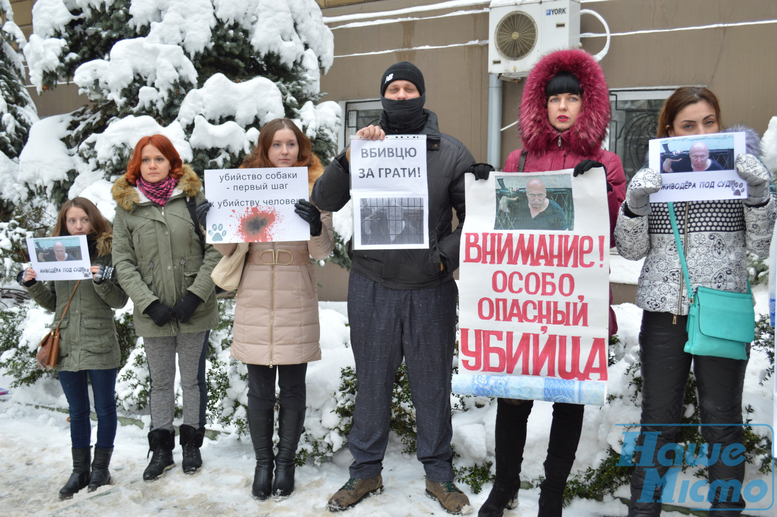 Бездомные собаки в Днепре — убить нельзя помиловать (ФОТО). Новости Днепра.