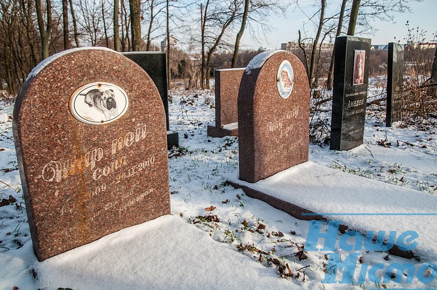 Могилка для бобика в Днепре. Новости Днепра