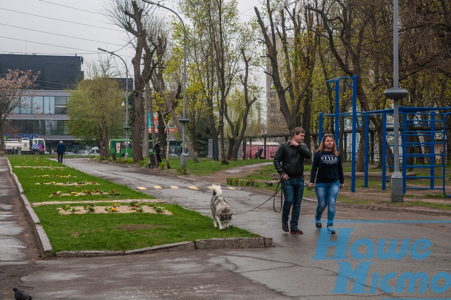 Как проходит реконструкция парка имени Писаржевского в Днепре. Новости Днепра