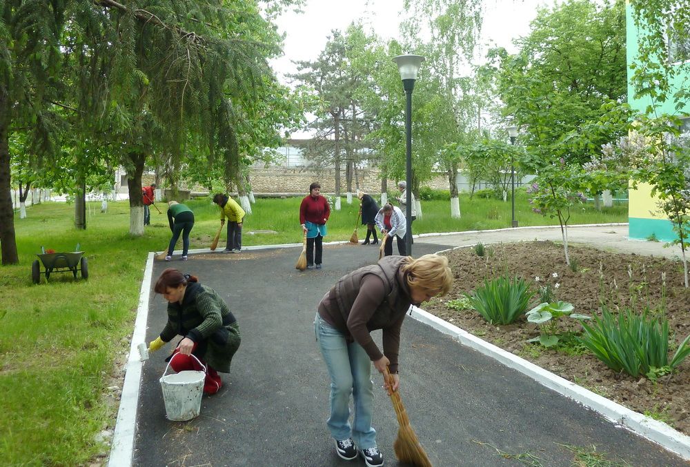 В Днепре больше не будет белых столбов и деревьев. Новости Днепра