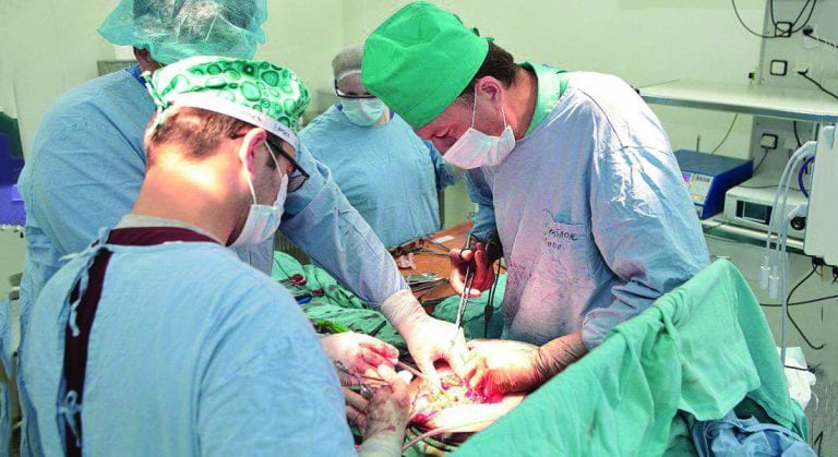 «Новый закон о трансплантологии спасет тысячи жизней» - Рыженко. новости Днепра
