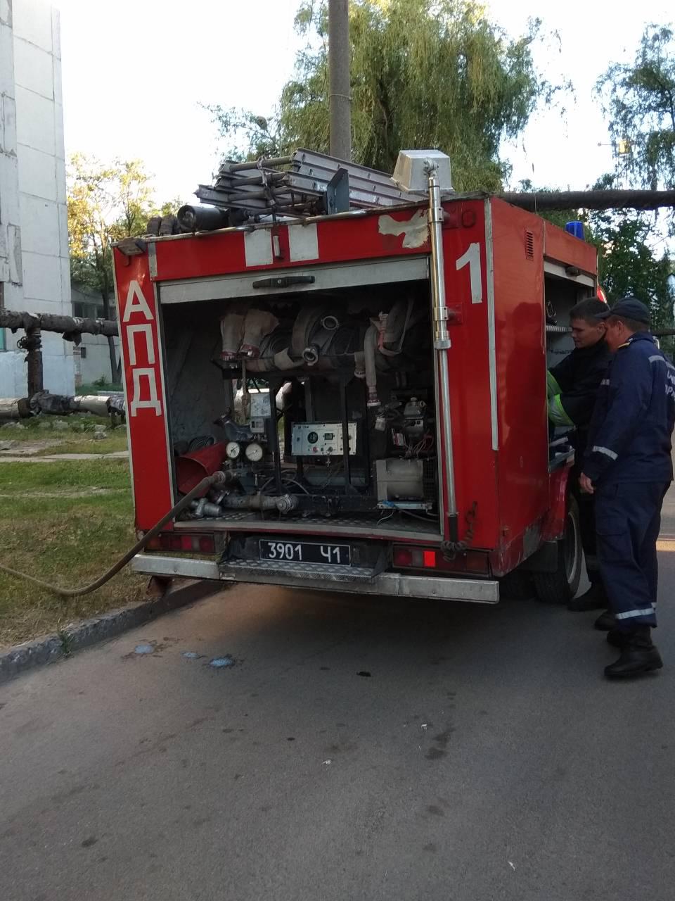 Необычный пожар в Днепре: дерево горело... изнутри. новости Днепра