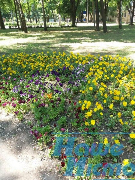 В днепровском парке разбили летние клумбы. Новости Днепра