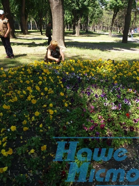 В днепровском парке разбили летние клумбы. Новости Днепра