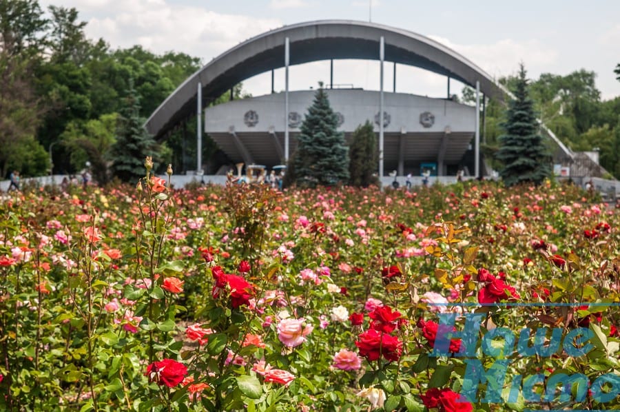 Неизвестные факты центрального парка Днепра. Новости Днепра