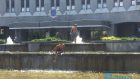 Днепряне купаются в фонтане перед горсоветом (Видео, фото). новости Днепра
