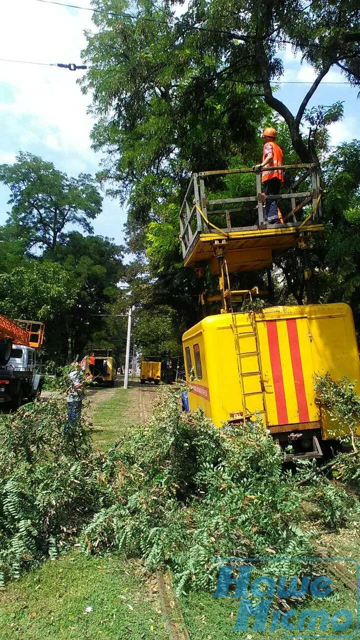 Чем опасны ветки на 600-вольтных проводах. новости Днепра