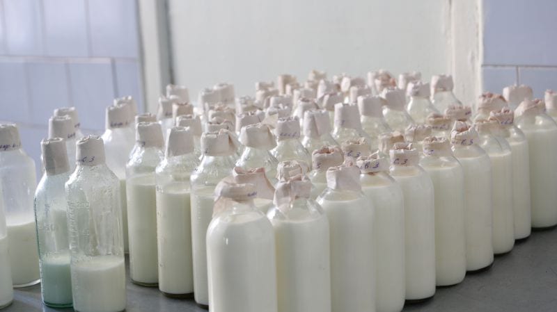 72 часа без права на просрочку: в Днепр возвращаются ГОСТы молочной кухни. новости Днепра