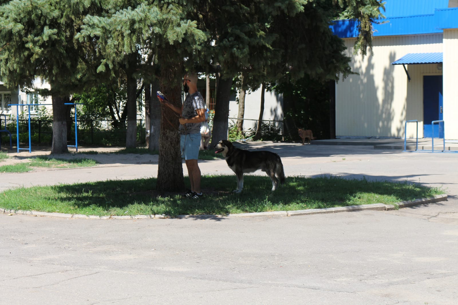 Брутальна перевірка "сосенок": все ок, якби собачі пакети не тирили. новости Днепра