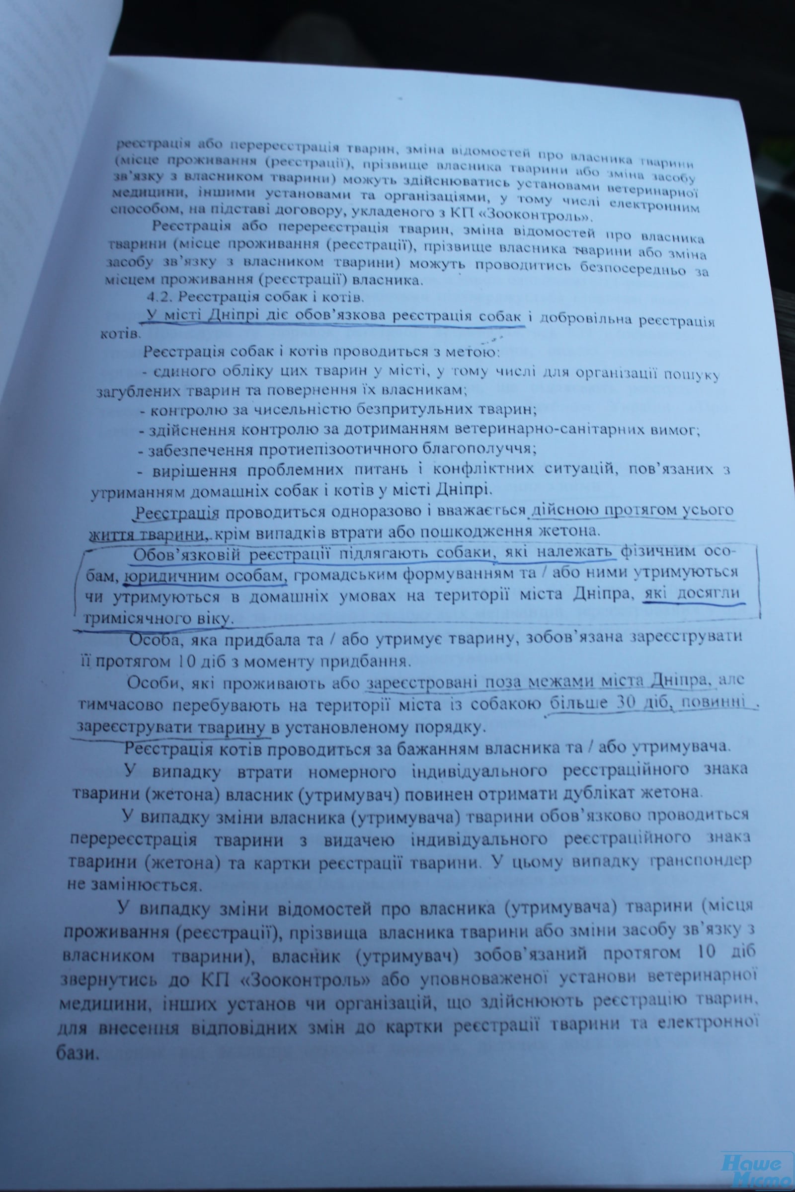 Зоозащитники Днепра забирали у живодерки животных. Новости Днепра