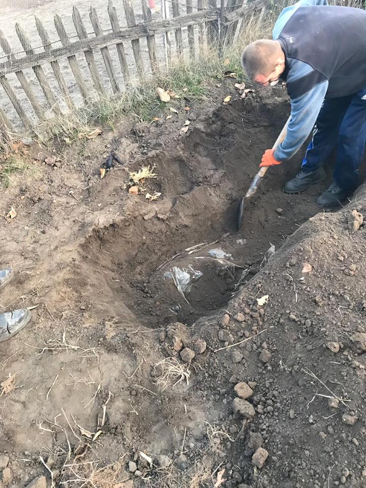Кладбище серийного убийцы: под Днепром на огороде подозреваемого нашли еще 4 трупа (фото). Новости Днепра