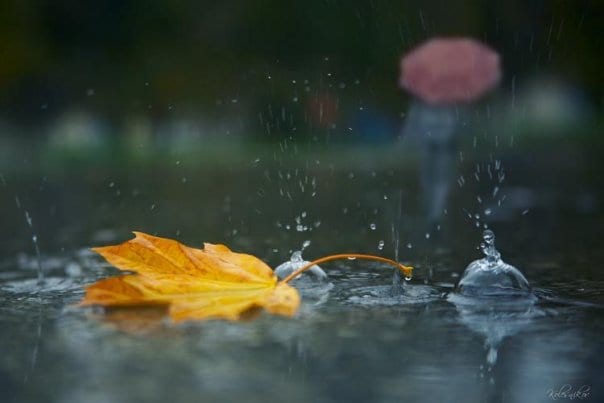 Погода в Днепре: стоит ли брать с собой зонтик. Новости Днепра