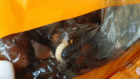 В магазине Днепра продают финики с личинками (ФОТО). Новости Днепра