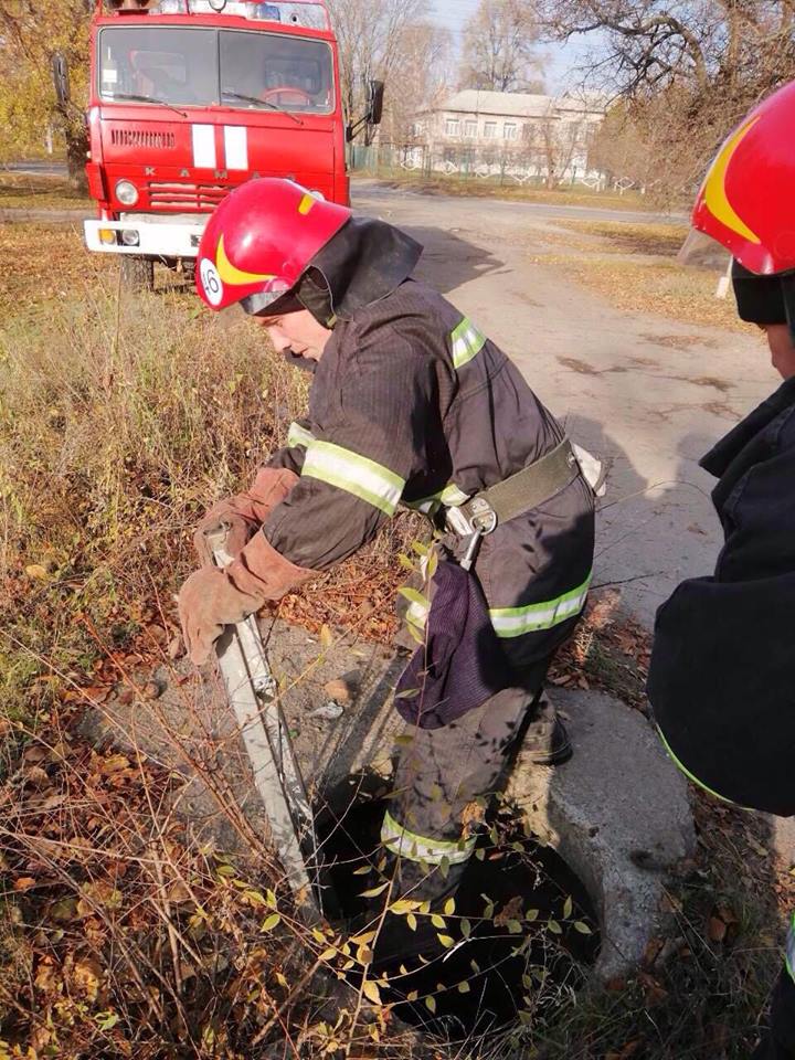 Под Днепром спасли пленницу заброшенного колодца (ФОТО). Новости Днепра