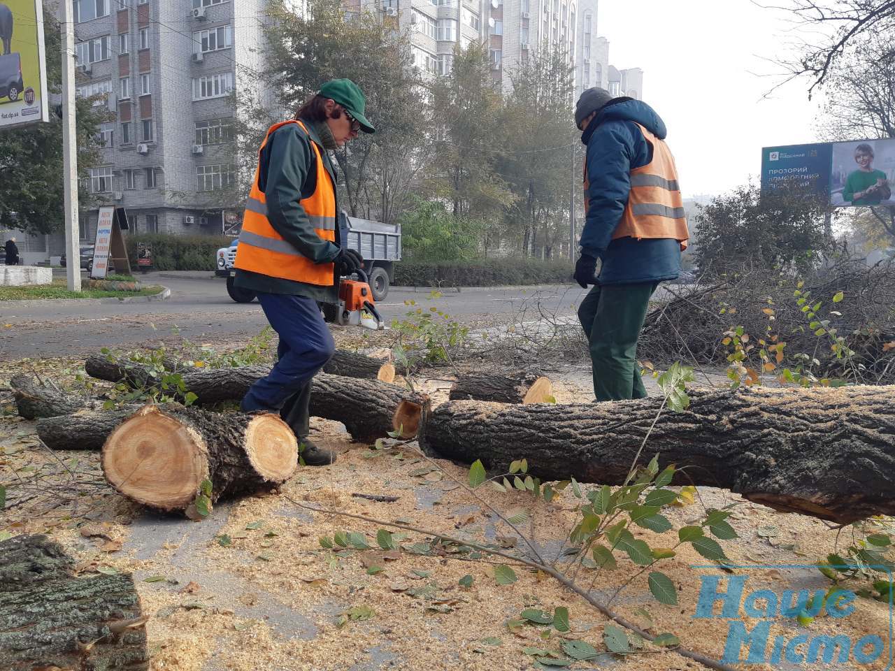 В Днепре по ул. Свердлова восстановили движение: упавшее дерево убрали с проезжей части (фото). Новости Днепра