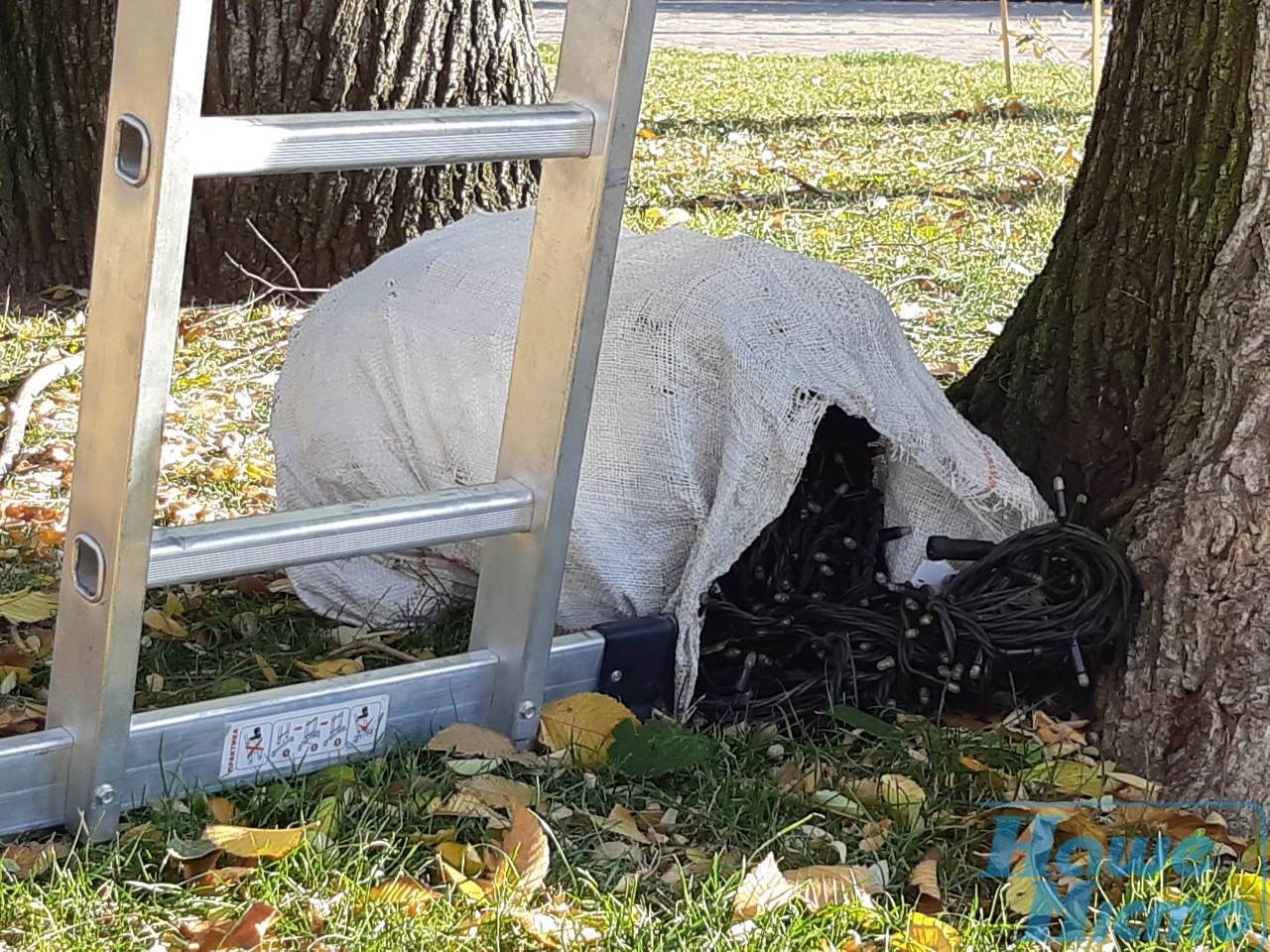 Праздник к нам приходит: в Днепре сквер Героев украшают гирляндами (фото). Новости Днепра