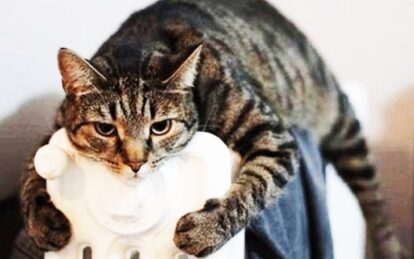 В Днепре начался отопительный сезон. Новости Днепра