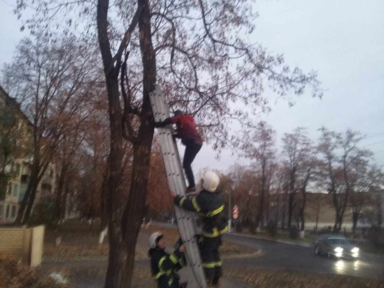 Под Днепром спасали ребенка, который хотел помочь кошке. Новости Днепра