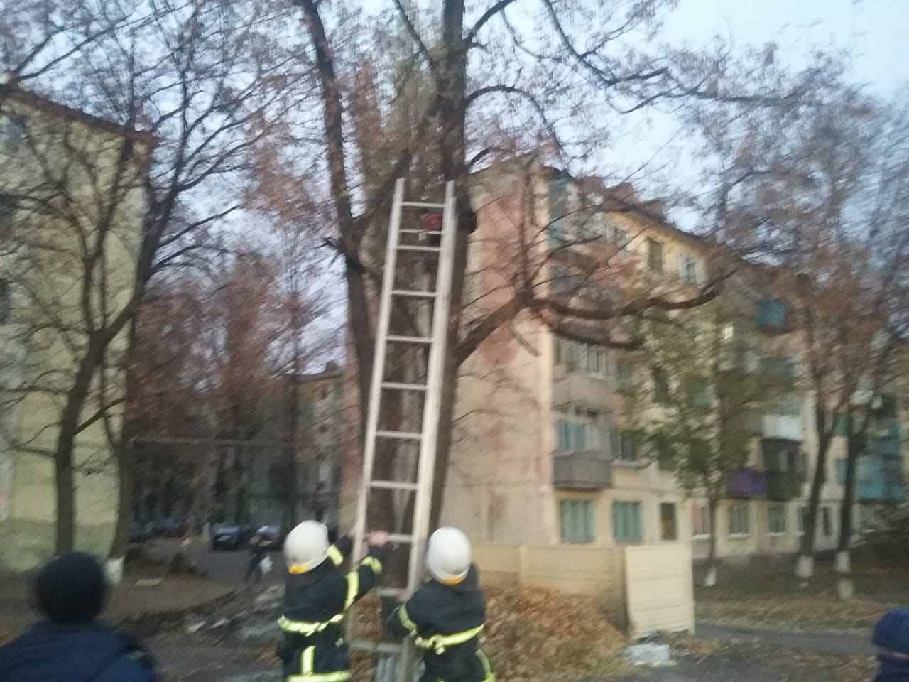 Под Днепром спасали ребенка, который хотел помочь кошке. Новости Днепра