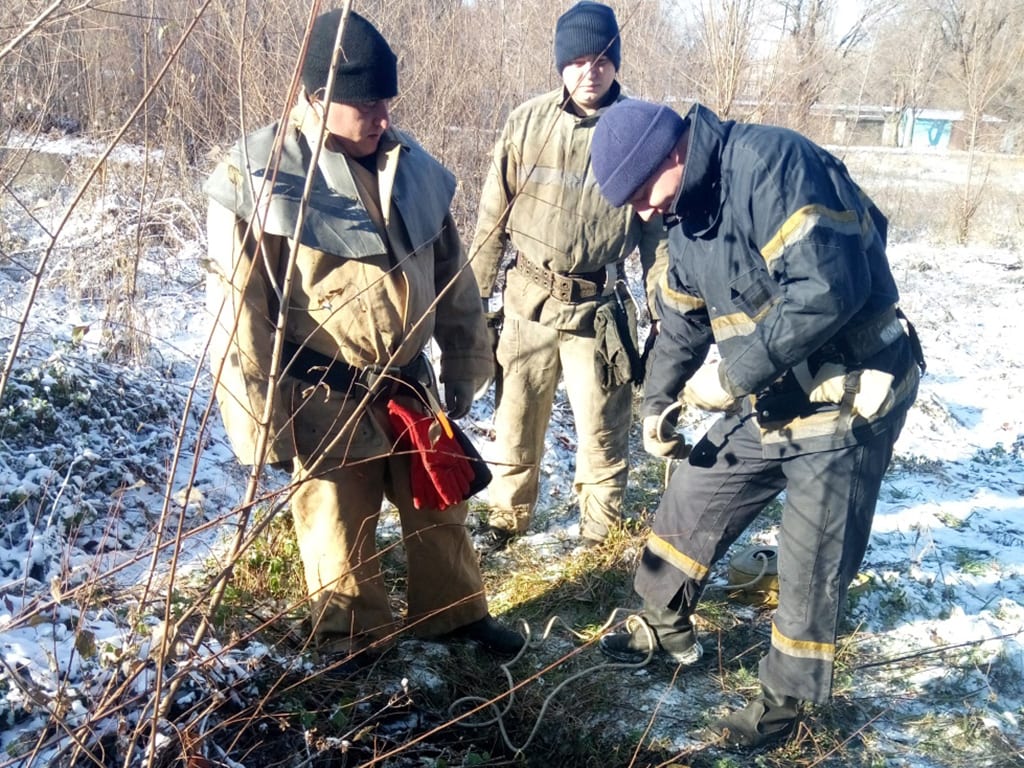 Под Днепром спасатели достали собаку из заброшенного колодца. Новости Днепра