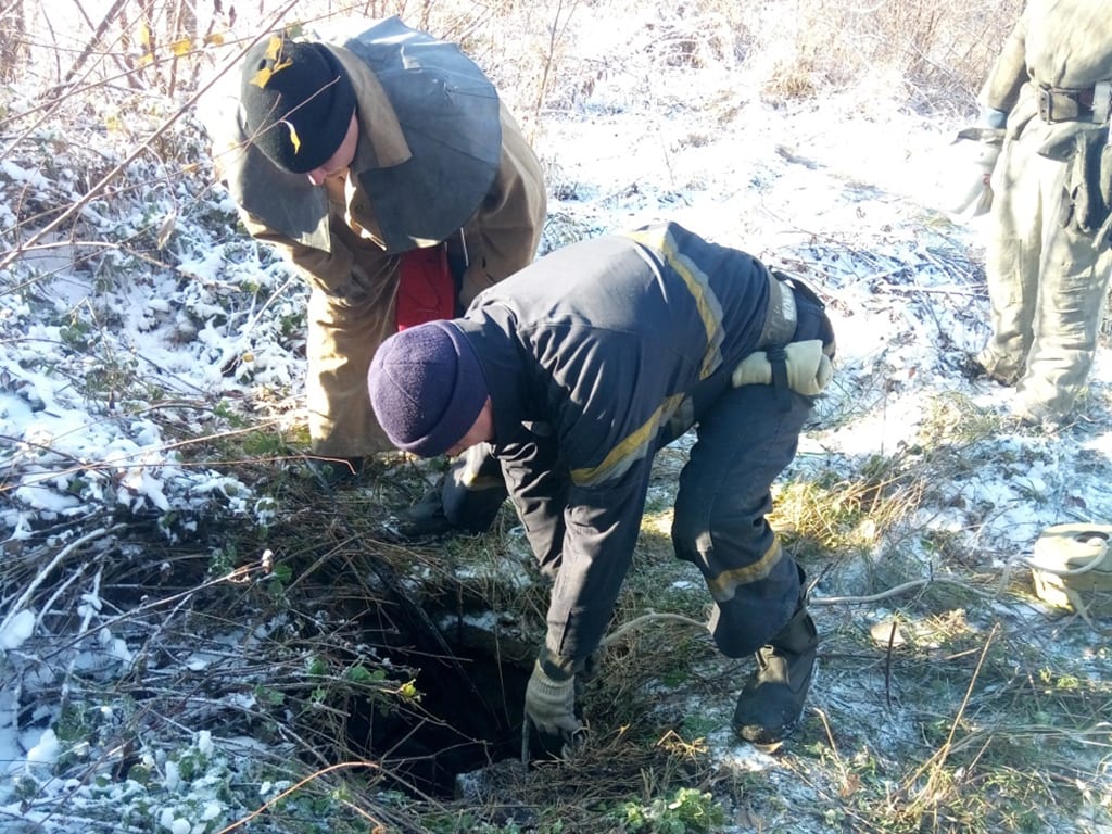 Под Днепром спасатели достали собаку из заброшенного колодца. Новости Днепра