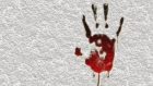 Двойное убийство в Чаплино: преступник задержан. Новости Днепра