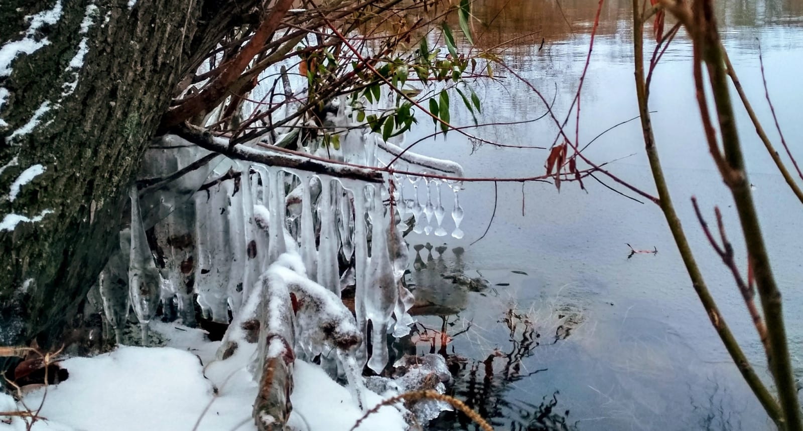 Утренняя красота в Днепре (фото). Новости Днепра