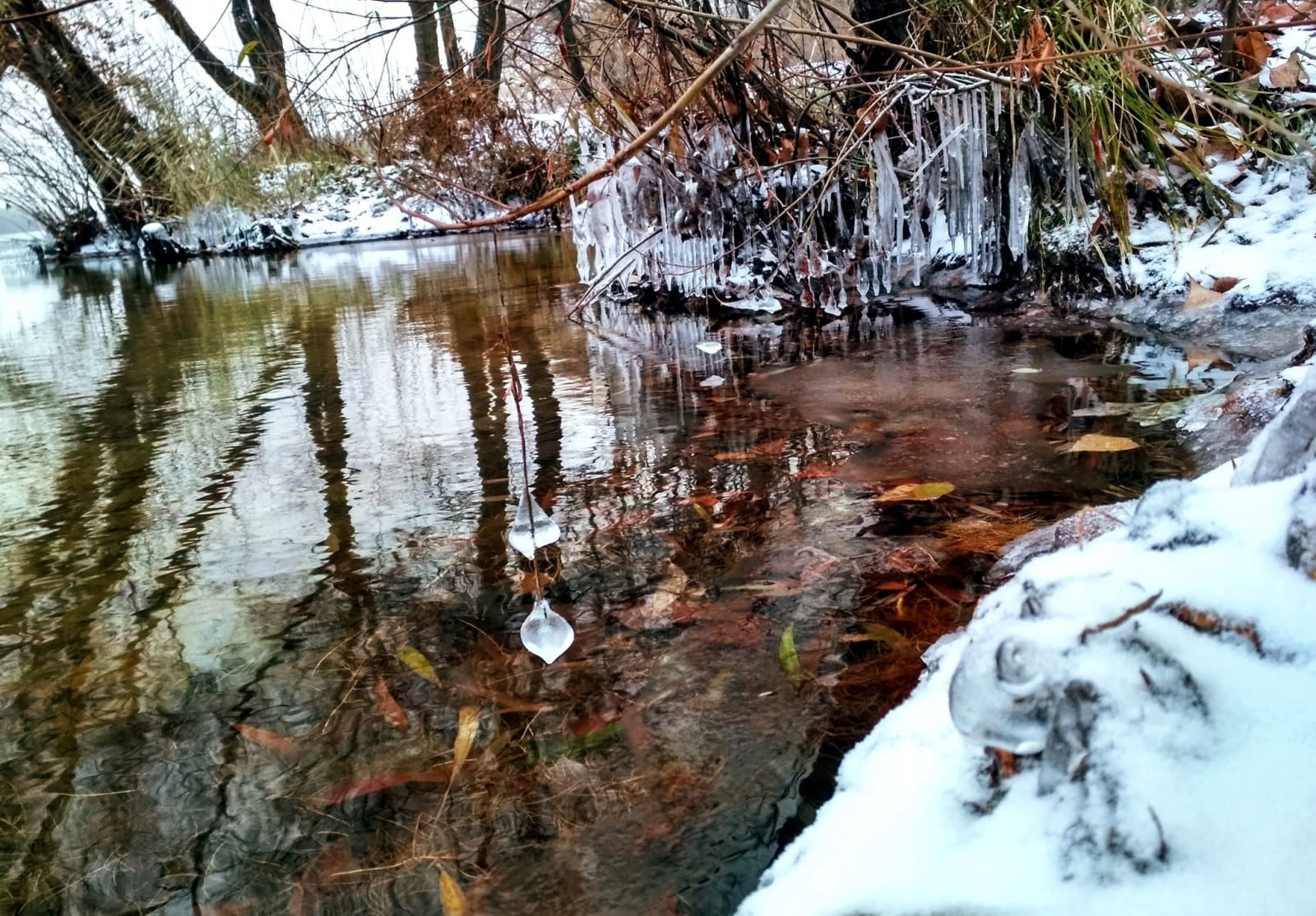 Утренняя красота в Днепре (фото). Новости Днепра