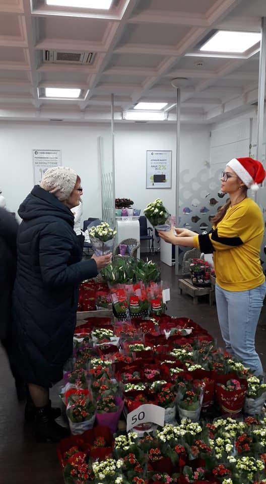 В Днепре редкие цветы можно купить рекордно дешево. Новости Днепра