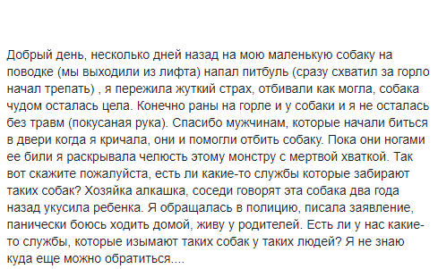 Кровожадный питбуль: жители Днепра страдают от несознательных хозяев собак. Новости Днепра