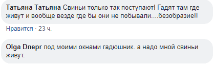 Тренд сезона: в Днепре новогодние елки опасно висят на деревьях. Новости Днепра