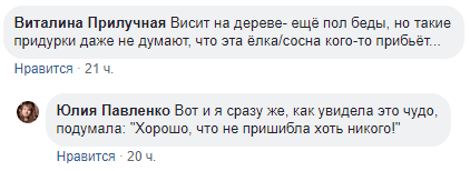 Тренд сезона: в Днепре новогодние елки опасно висят на деревьях. Новости Днепра