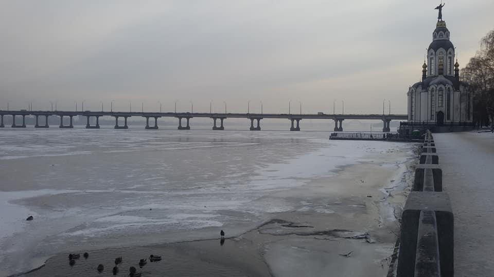 На Набережной Днепра во льдах "остановилась" стая диких уток (Фото). Новости Днепра