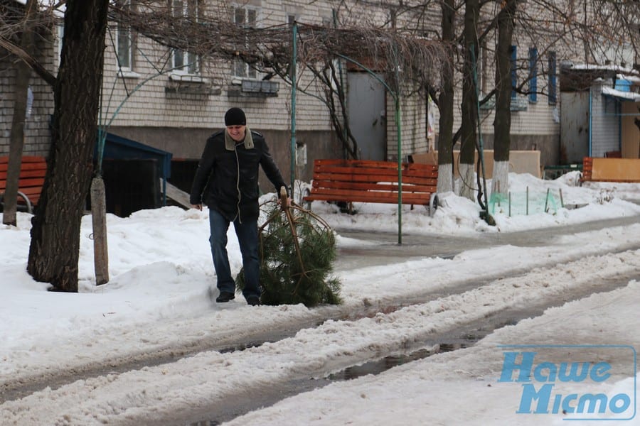 В Днепре заработали пункты приёма ёлок: куда нести деревья. Новости Днепра