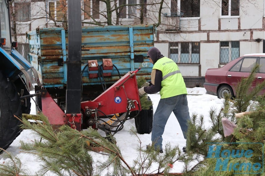 В Днепре заработали пункты приёма ёлок: куда нести деревья. Новости Днепра